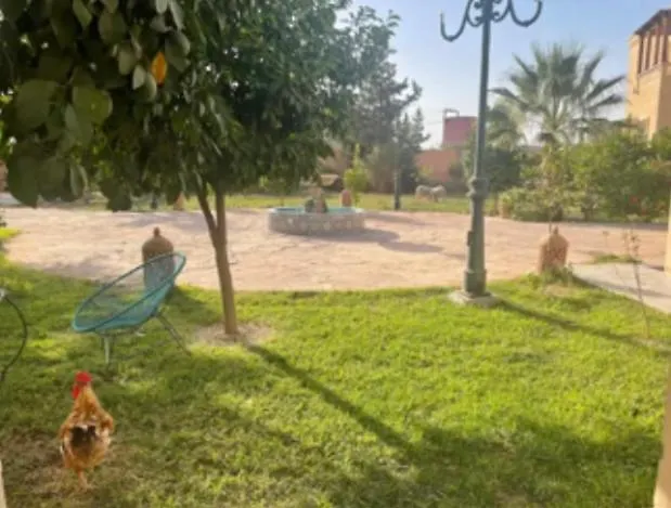Luxury Villa With Large Private Pool Marrakesh